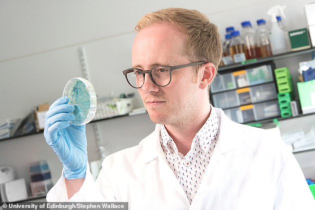 Professor Stephen Wallace (pictured) uses bacteria to convert fatbergs into a chemical called pinene, which is used in the cosmetics industry to create pine-scented perfumes