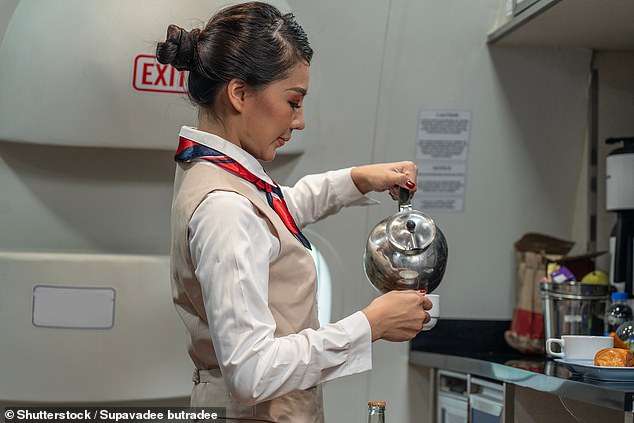 Kat assured viewers that the actual jars are removed from the machine between flights, but the entire machine is never properly cleaned