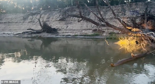 The man, believed to be in his 20s, fell into the water at a boat ramp in Moama (pictured) on the NSW-Victoria border about 7.30pm on Tuesday.