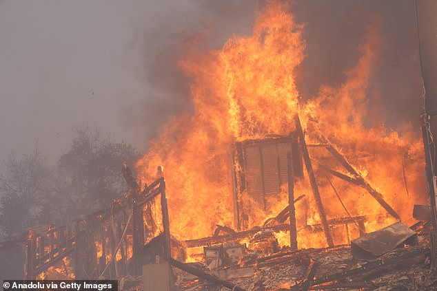 At least 11 people have been killed as catastrophic fires (pictured) continue to rage through Los Angeles and police make a series of arrests for looting and arson.