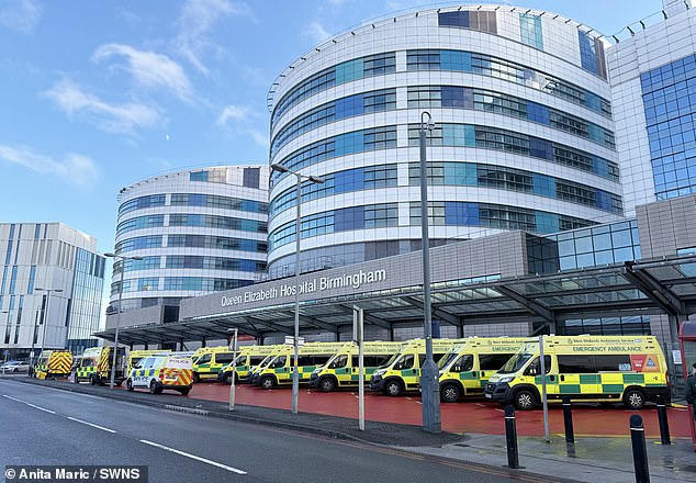 A row of ambulances parked outside the Queen Elizabeth Hospital in Birmingham earlier this week