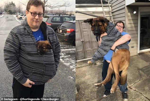 A proud owner sharing his four-legged friend just a year after adopting him. They grow up so fast these days...