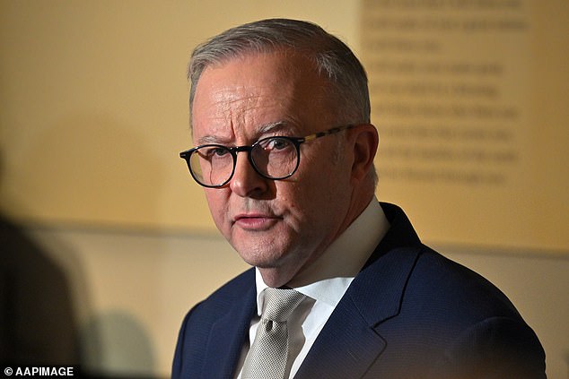 Anthony Albanese (pictured) has previously voiced his support for Mr Rudd as Australia's ambassador to the US, after mounting speculation he could be forced out of the post early.