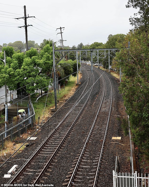 Samia was found dead near Merrylands train station in the early hours of December 29 (pictured).