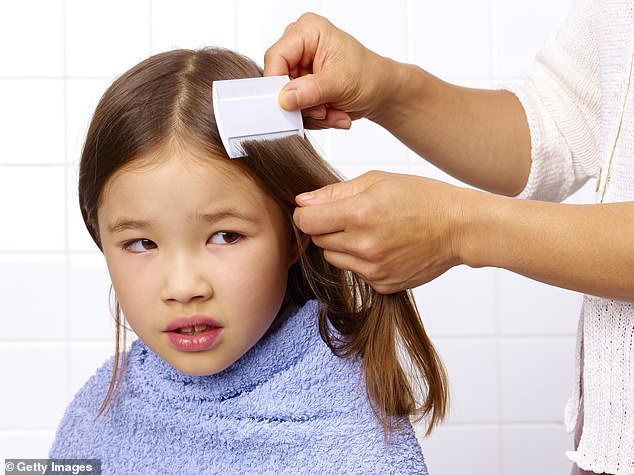 Another myth was that mayonnaise would treat a lice infestation – which Cailin dismissed as potentially traumatizing for children (stock image)