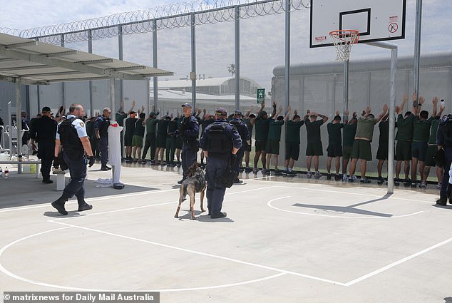 The prisoners had not expected the search with dogs