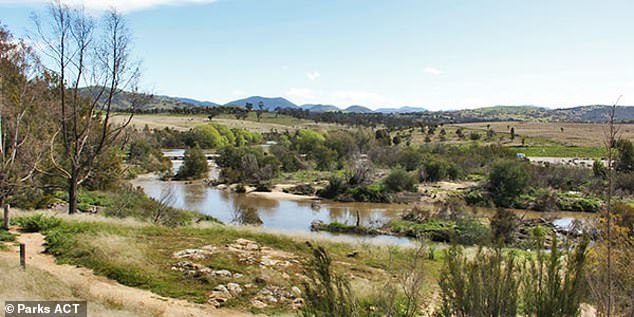 The tragedy occurred on Pine Island, a popular swimming spot in Canberra