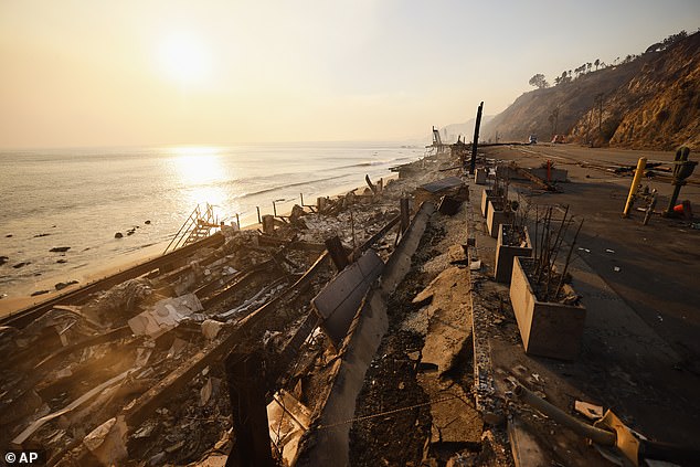 Homes damaged by the Palisades Fire can be seen along Malibu Beach, near Bridges' family property