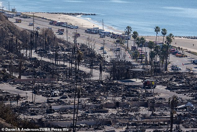 Beach houses along the Pacific Palisades were completely wiped out by the inferno