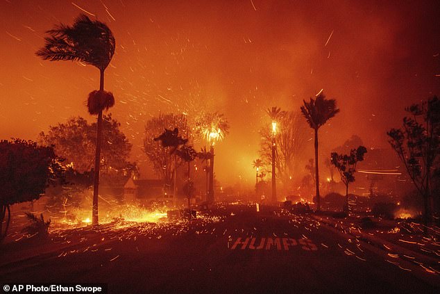 The entire city was hit by high winds of more than 100 miles per hour in some areas, resulting in wildfires that raged through 3,000 acres of the Pacific Palisades and forced thousands to evacuate (photo Tuesday)