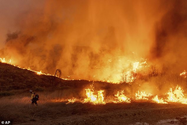 A firefighter sets a backburn in front of the advancing Kenneth Fire in the West Hills section of Los Angeles, Thursday, January 9, 2025