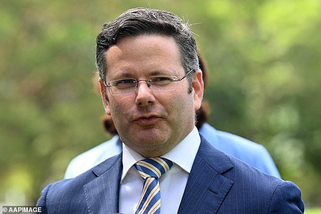 Oatley MP Mark Coure (pictured), who served as Minister for Seniors under Liberal Prime Minister Dominic Perrottet, shared opposition to the construction with NSW Housing Minister Rose Jackson