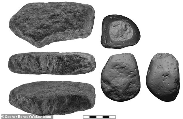 The researchers focused on basalt tools found at an ancient settlement near Gesher Benot Ya'akov