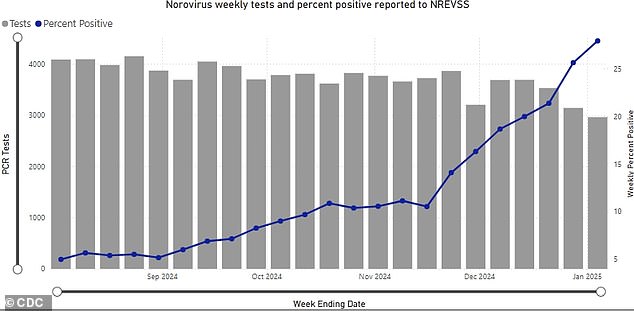 The graph above shows the increase in the number of positive norovirus tests from August 2024 through the first week of January 2025