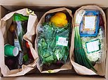 Brits on benefits 'could get therapy and healthy meals instead of cash' under employment reforms