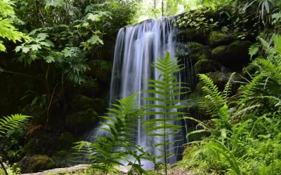 I have lived in Florida for over 25 years. Skip the big cities and spend time in these 5 beautiful state parks instead.