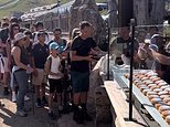 Tourists flood the beautiful Dolomites spot with 'crazy' queues for local delicacies - while Italian mountains groan under pressure from visitor invasion