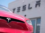 Tesla is recalling almost 3 million cars in China due to door handle safety risks