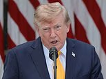 Trump is being burned by conservatives for the 'stupidest trade war in history' as he punishes Canada as feud turns personal