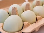 Life-threatening recall of more than 38 million eggs, upgraded to FDA's highest risk level... 'reasonable risk of death'