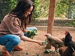 Meghan shares cryptic post about her chickens after reports Sussexes will leave beloved birds behind in Montecito after move to UK