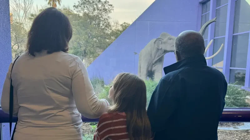 I prefer to go on family outings with my parents-in-law. It reduces my mental load and my children enjoy spending time with their grandparents.