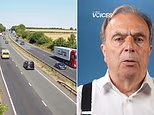 PETER HITCHENS: Our obsession with cars is a dangerous madness. It's time to rebuild the railroads we threw away