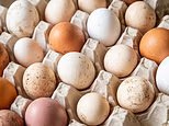 Another Briton dies in growing salmonella outbreak - nearly 500 Brits now sick with infection linked to imported eggs