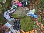 The Lake District's crack team of 'binfluencer' volunteers reveal the worst things they've had to clean up after tourists leave - including human faeces under a 'camping chair used as a toilet'