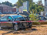 Man, 41, is dead after crashing Audi into a tree 'following police chase' in Bedfordshire