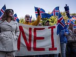 DAN HANNAN: If a country as small as Iceland can proudly go it alone, why would ANYONE want to reverse Brexit?