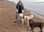 Why I'll Never Hire a Dog Sitter Again: My vacation was ruined when I learned the truth about the "friendly" pet lover I left behind in my childhood home. This was the message that made me shake...