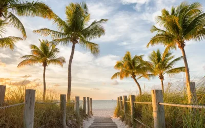 I have lived in Florida for over 25 years. Here are 7 places I always tell tourists to visit.