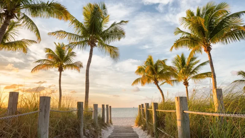 I have lived in Florida for over 25 years. Here are 7 places I always tell tourists to visit.