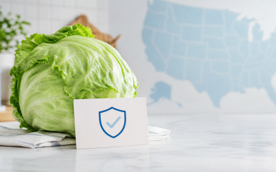 Editorial illustration of iceberg lettuce, a food-safety notice, and a public health investigation map