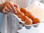 Anger as UK health chiefs won't reveal source of 'imported' deadly eggs - as major salmonella outbreak kills one and sickens 200