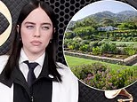Billie Eilish mocked for hosting brother Finneas O'Connell's wedding on 'stolen land' after he woke up from the Grammys
