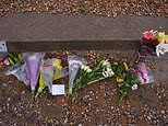 Girl, 6, rescued after family drowned at Shoreham beach, was resuscitated but died in hospital of 'brain injuries', inquest hears