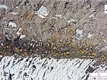 They take the ***! Climbers are melting Everest's glacier with their urine, study warns