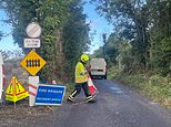 Boy, 12, is killed when the car he was in is hit by a train at a level crossing in Ireland