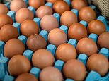 Actual number of salmonella infections could be 'around 2,000', top expert warns - amid ongoing outbreak in Britain linked to imported eggs