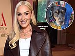 Gwen Stefani reveals death of beloved dog Betty: 'She made us all laugh for 18 years'