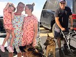 Karl Stefanovic narrowly avoids being forced to euthanize his dog as the former Today star appears in court for 'unprovoked attack' on a member of the public