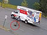 The mysterious beast launches a series of attacks in New Hampshire as officials race to identify the animal in its entirety
