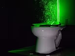 Why you should always close the lid before flushing the toilet: Disgusting study reveals how particles linger in your 'breathing zone' for at least 20 seconds