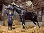 That's neighing! Britain claims two horse firsts in Guinness World Records
