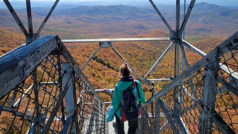 I have lived in the Carolinas for years. There is one little town that I swear I will visit every fall.